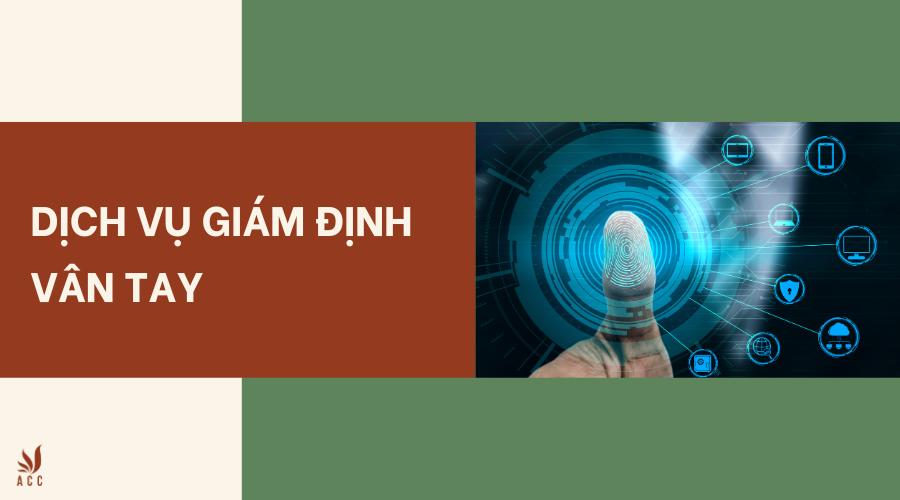 Dịch vụ giám định vân tay