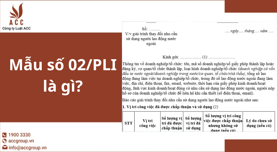 Mẫu số 02/PLI là gì?
