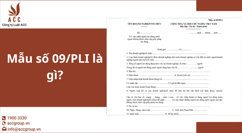 Mẫu số 09/PLI là gì?