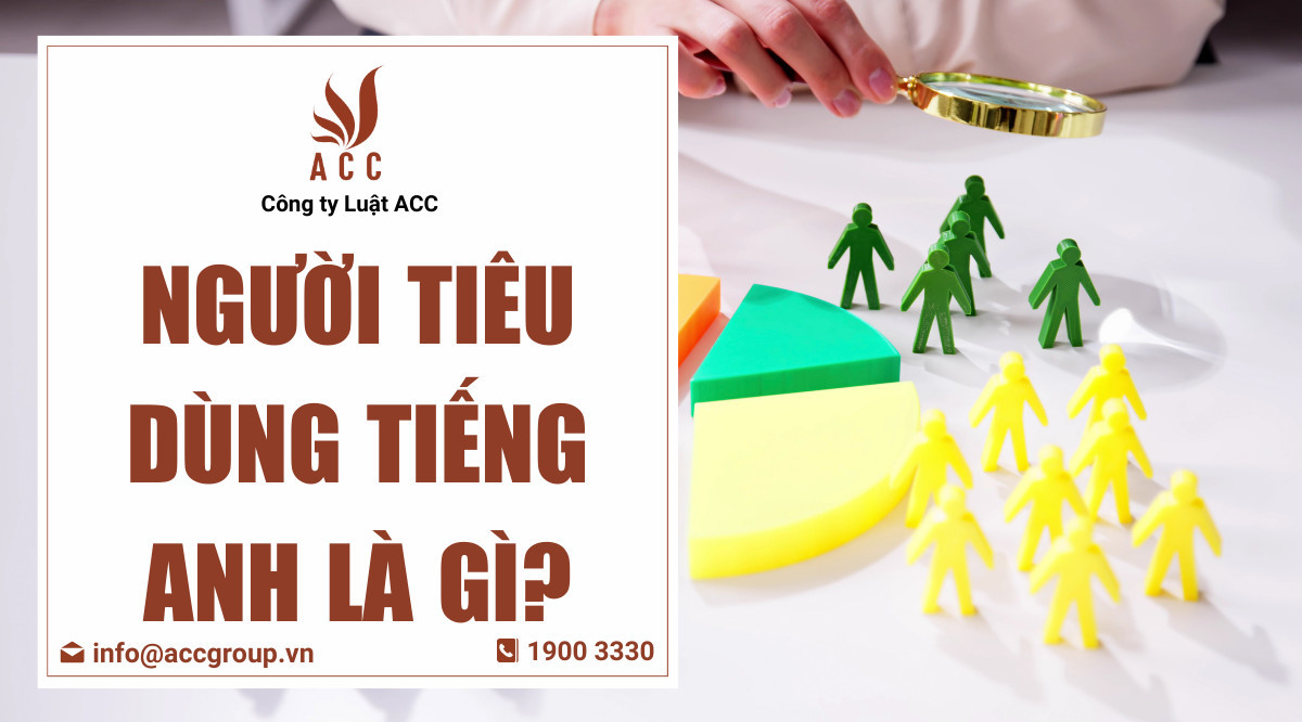 Người tiêu dùng tiếng Anh là gì?