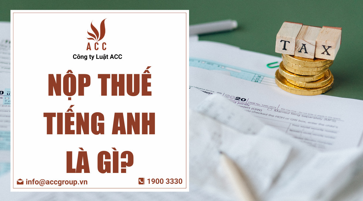 Nộp thuế tiếng Anh là gì?