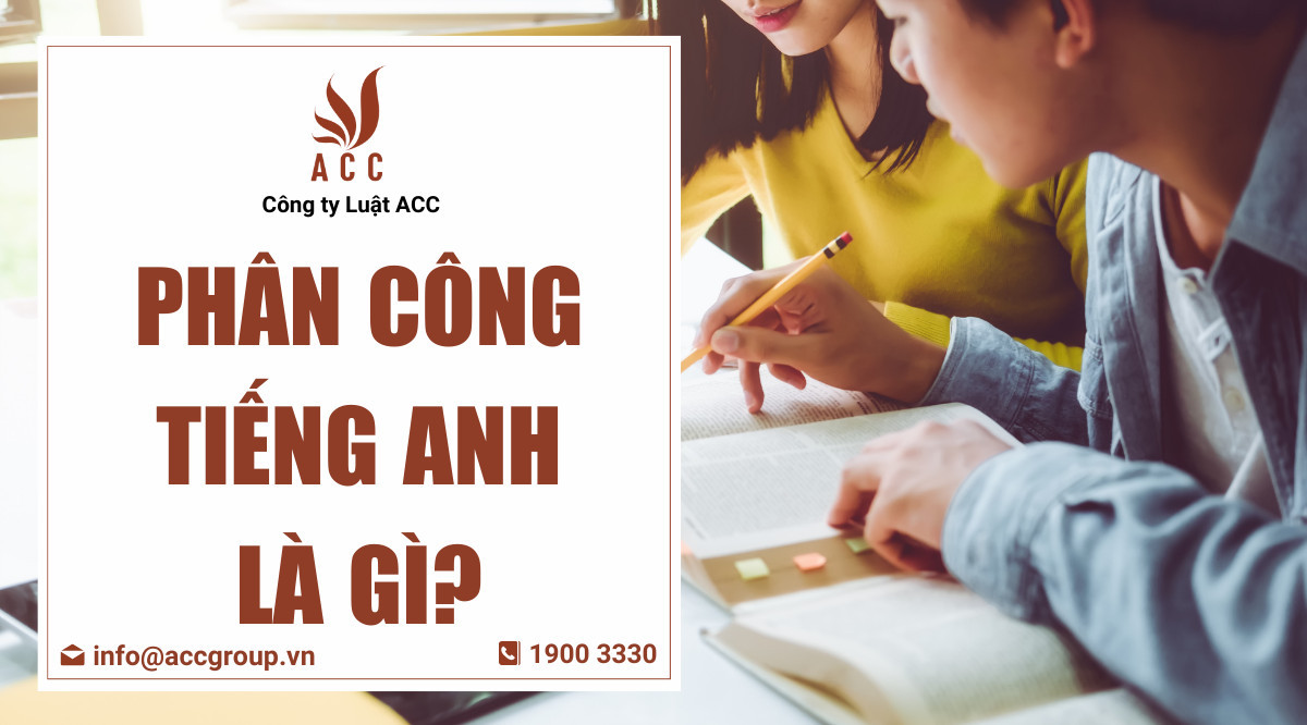 Phân công tiếng Anh là gì?