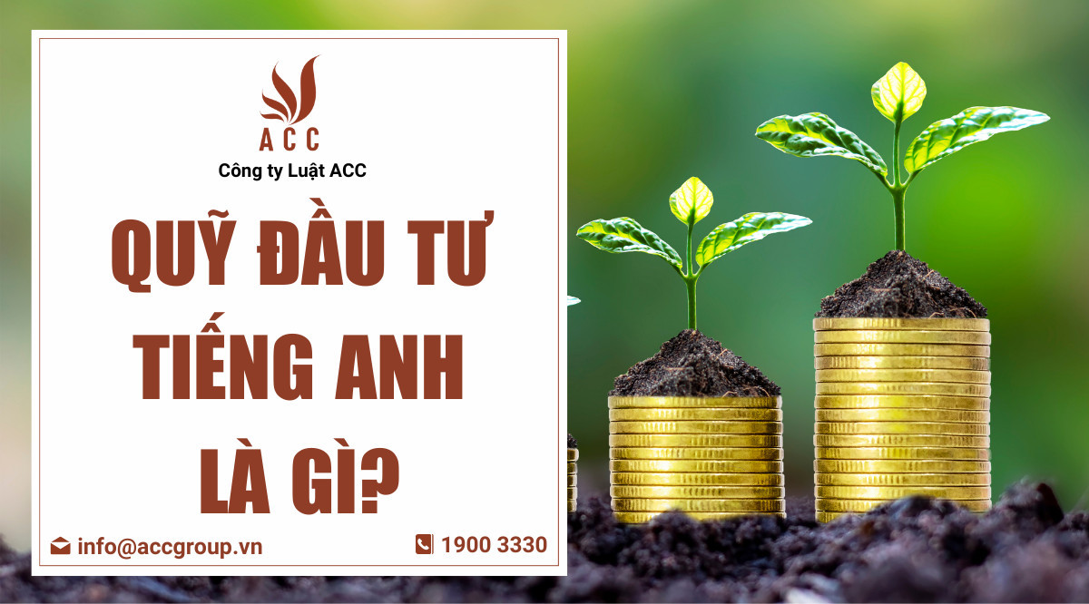 Quỹ đầu tư tiếng Anh là gì?