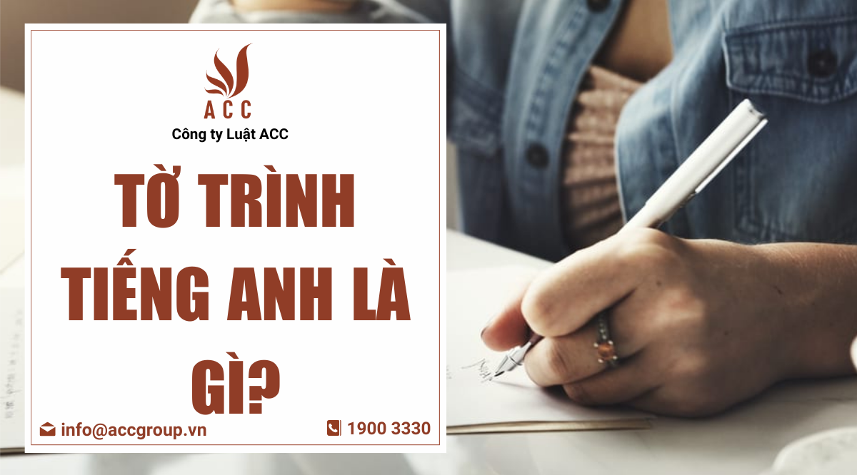 Tờ trình tiếng Anh là gì?
