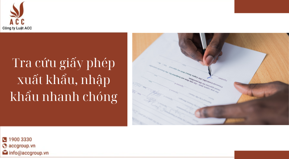 Tra cứu giấy phép xuất khẩu, nhập khẩu nhanh chóng