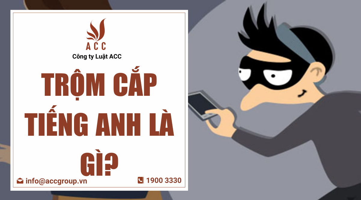 Trộm cắp tiếng Anh là gì?