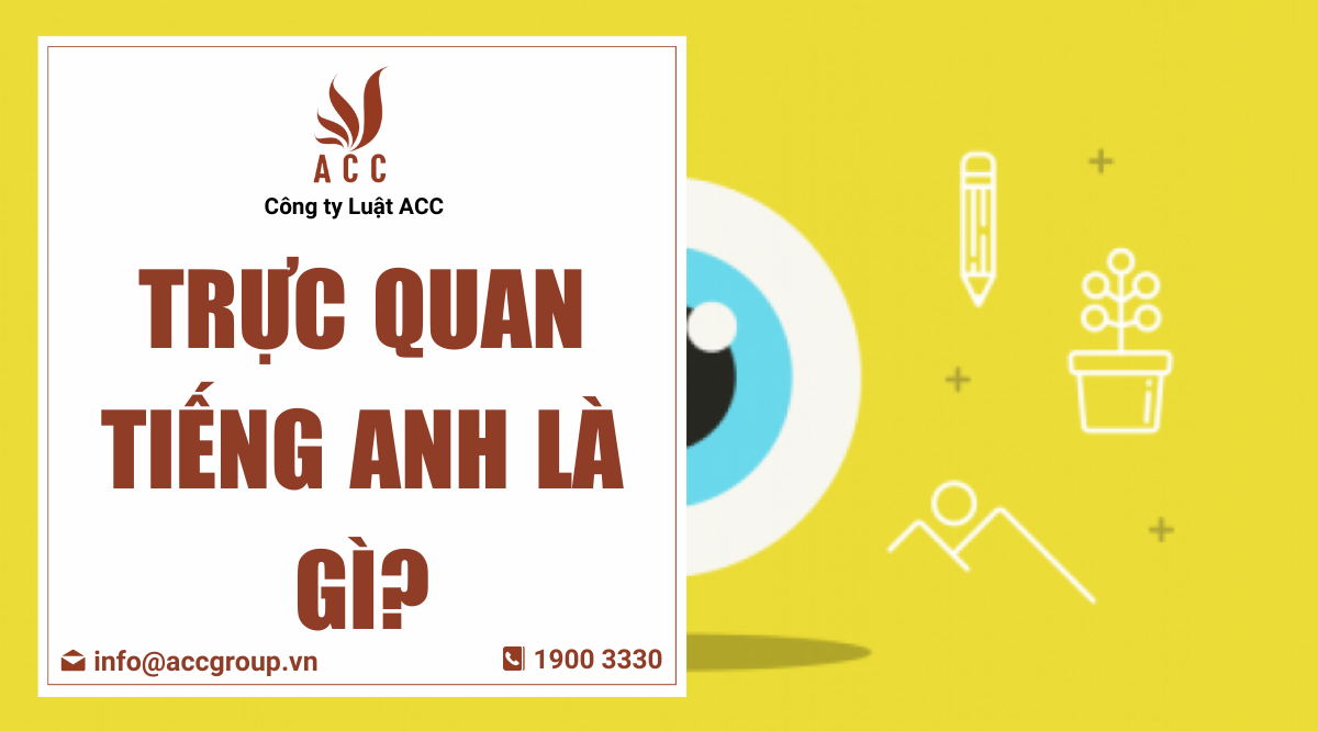 Trực quan tiếng Anh là gì?
