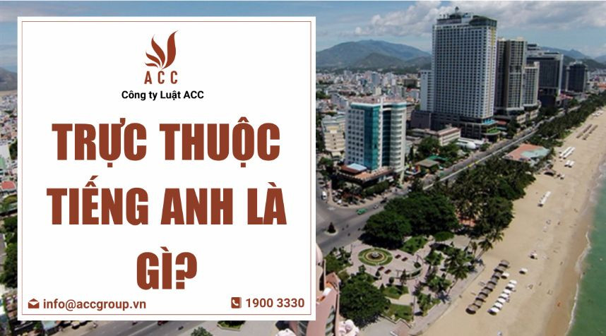 Trực thuộc tiếng Anh là gì?