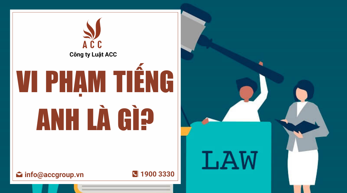 Vi phạm tiếng Anh là gì?