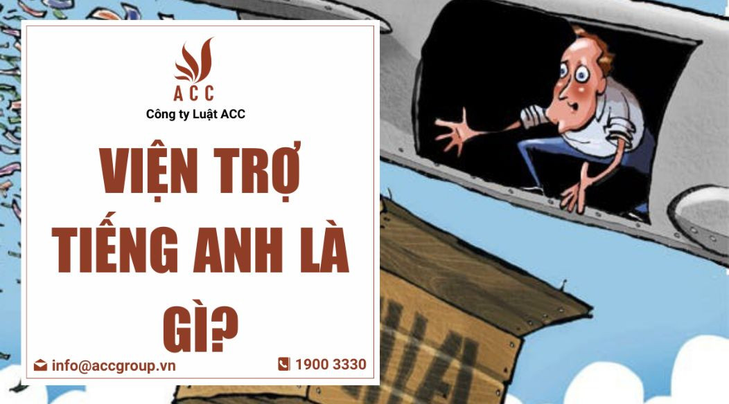 Viện trợ tiếng Anh là gì?