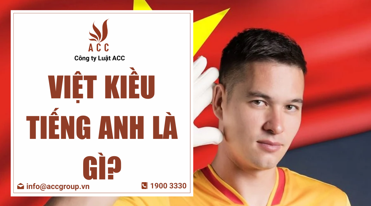 Việt kiều tiếng Anh là gì?