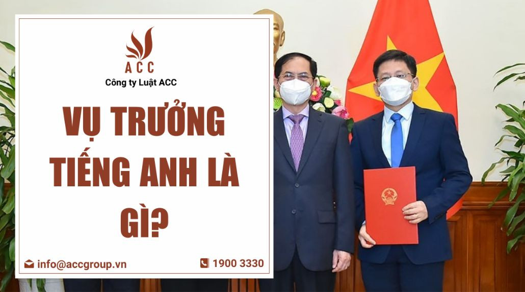 Vụ trưởng tiếng Anh là gì?