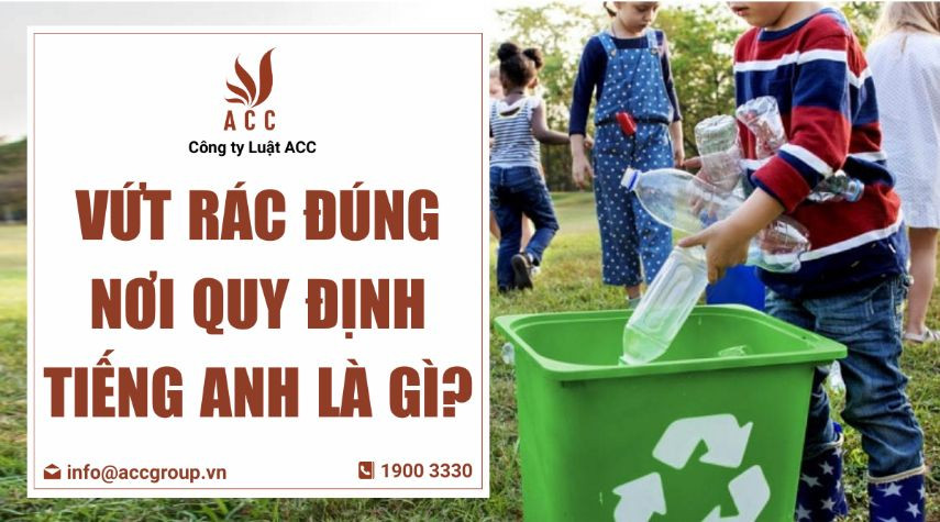 Vứt rác đúng nơi quy định tiếng Anh là gì?