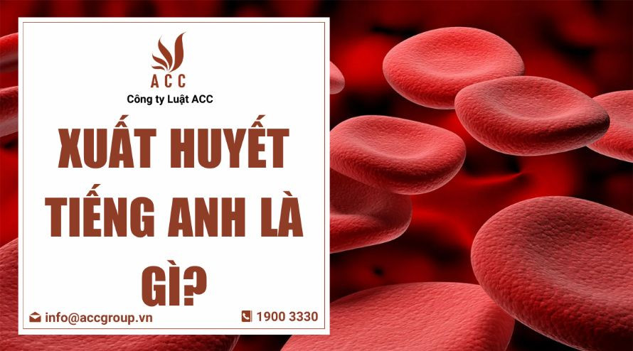Xuất huyết tiếng Anh là gì?