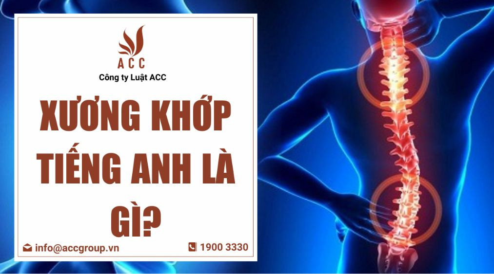 Xương khớp tiếng Anh là gì?