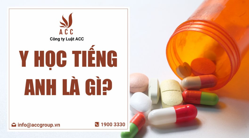 Y học tiếng Anh là gì?