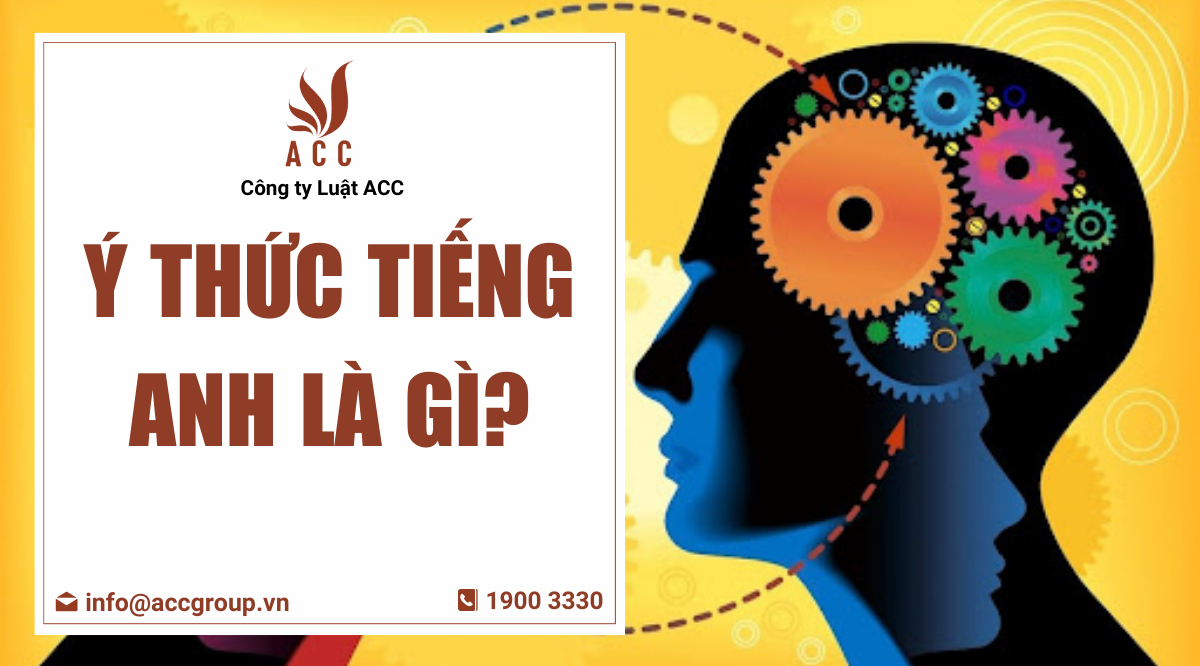 Ý thức tiếng Anh là gì?