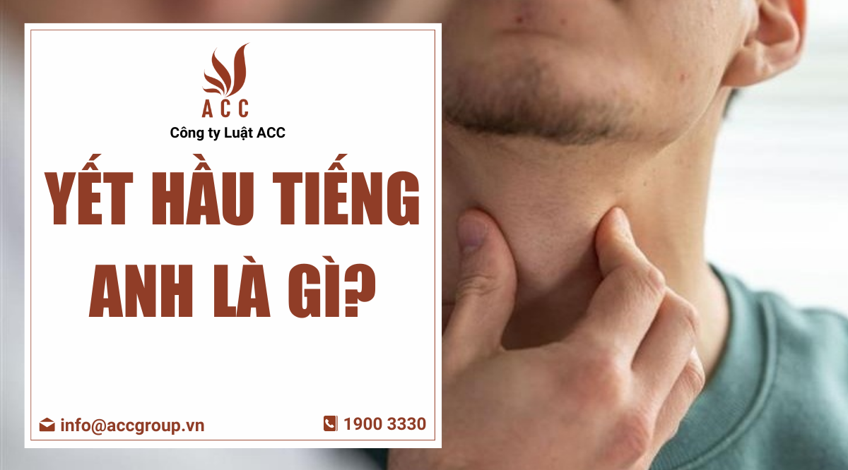 Yết hầu tiếng Anh là gì?