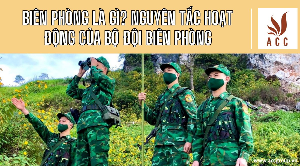 bien-phong-la-gi-nguyen-tac-hoat-dong-cua-bo-doi-bien-phong