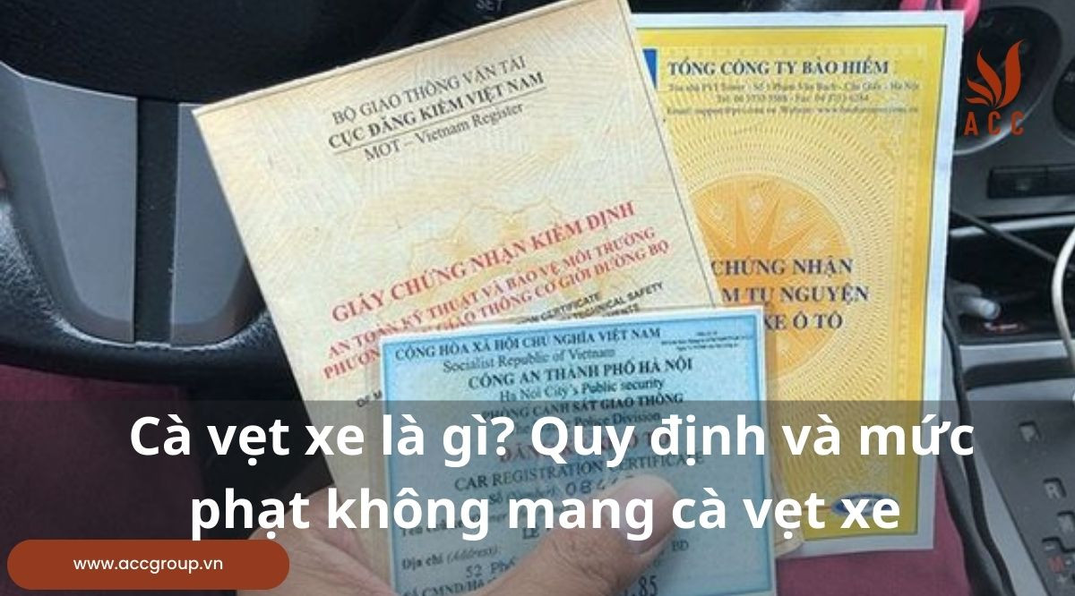 Cà vẹt xe là gì? Quy định và mức phạt không mang cà vẹt xe