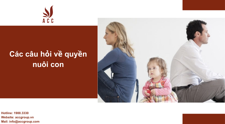 Các câu hỏi về quyền nuôi con