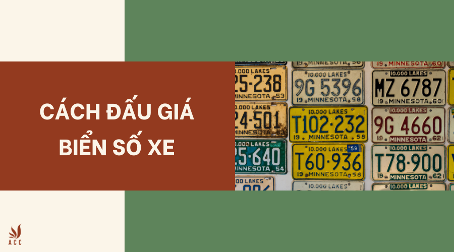 Cách đấu giá biển số xe