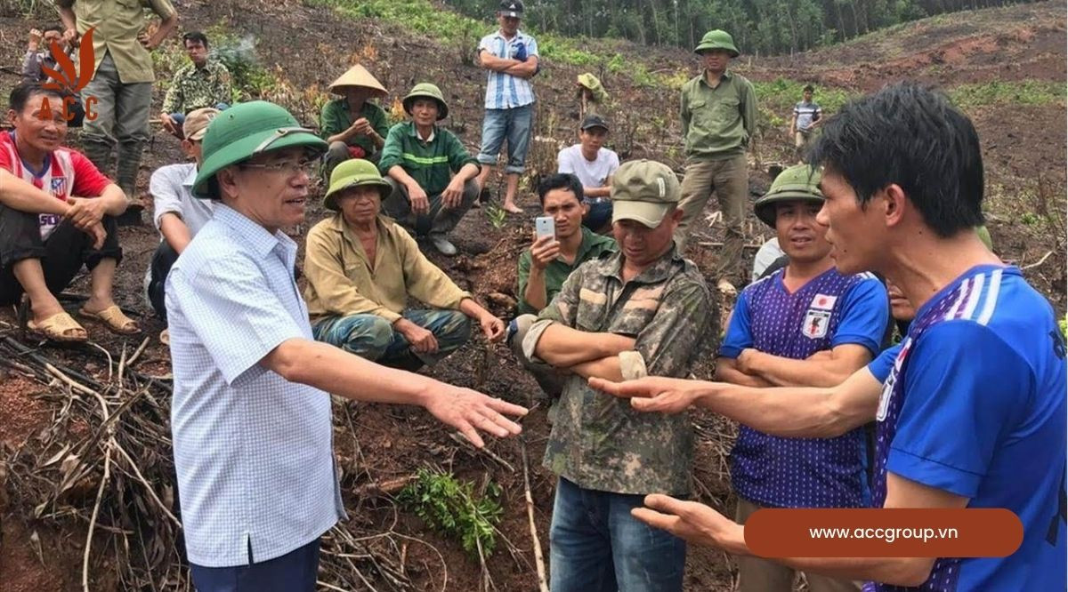 Cách xác định đất đang có tranh chấp