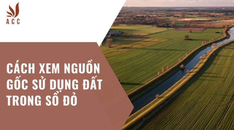 Cách xem nguồn gốc sử dụng đất trong sổ đỏ