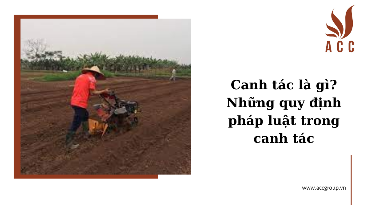 Canh tác là gì? Những quy định pháp luật trong canh tác