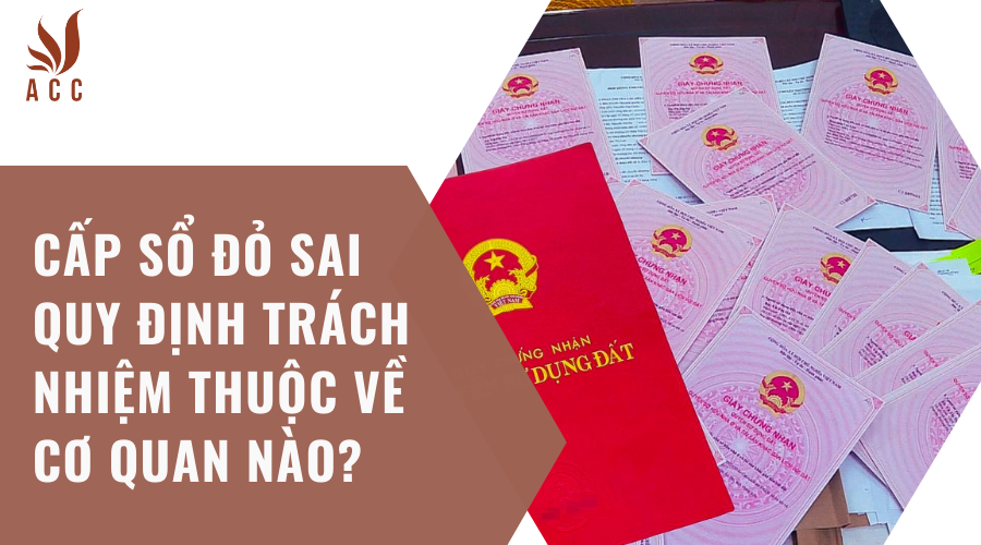 cap-so-do-sai-quy-dinh-trach-nhiem-thuoc-ve-co-quan-nao-1