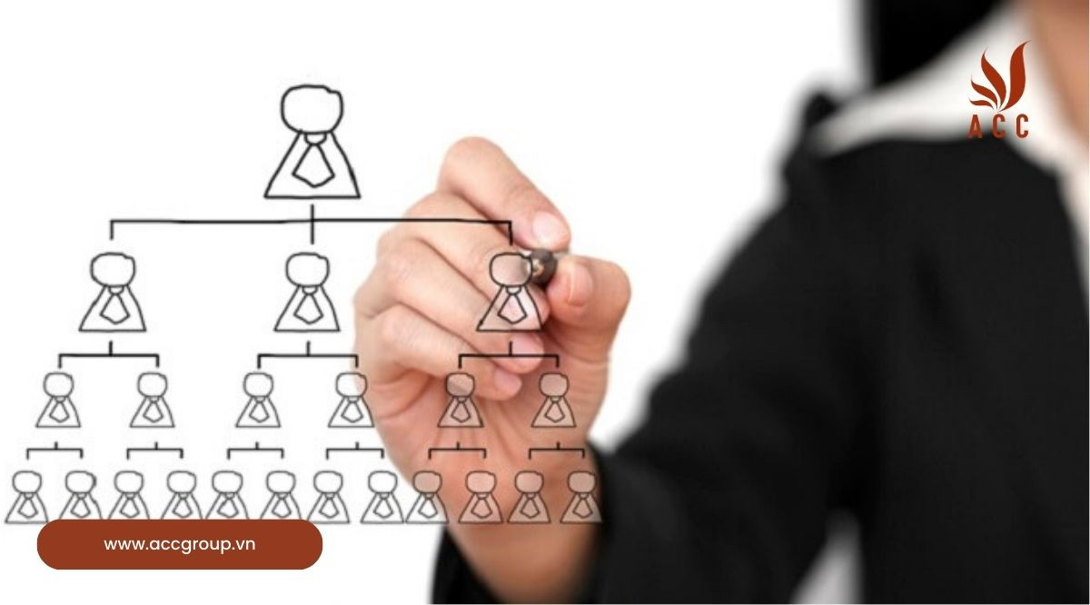 Cấu trúc tổ chức của ICH