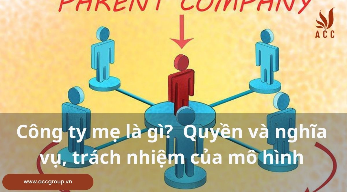 Công ty mẹ là gì? Quyền và nghĩa vụ, trách nhiệm của mô hình