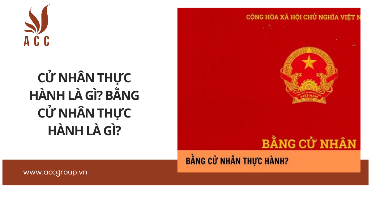 Cử nhân thực hành là gì? Bằng cử nhân thực hành là gì?