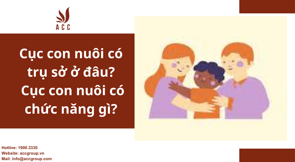 Cục con nuôi trụ sở ở đâu? Cục Con nuôi có chức năng gì?