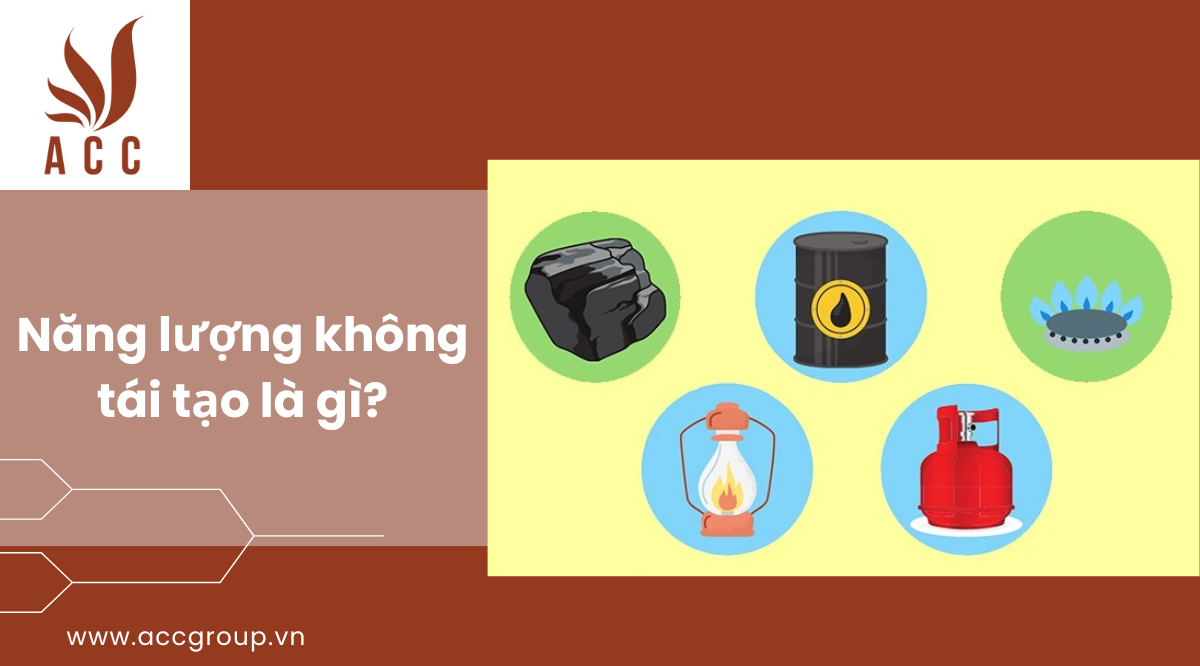 dat-khai-hoang-la-gi-quy-dinh-cap-so-do-cho-dat-khai-hoang-11