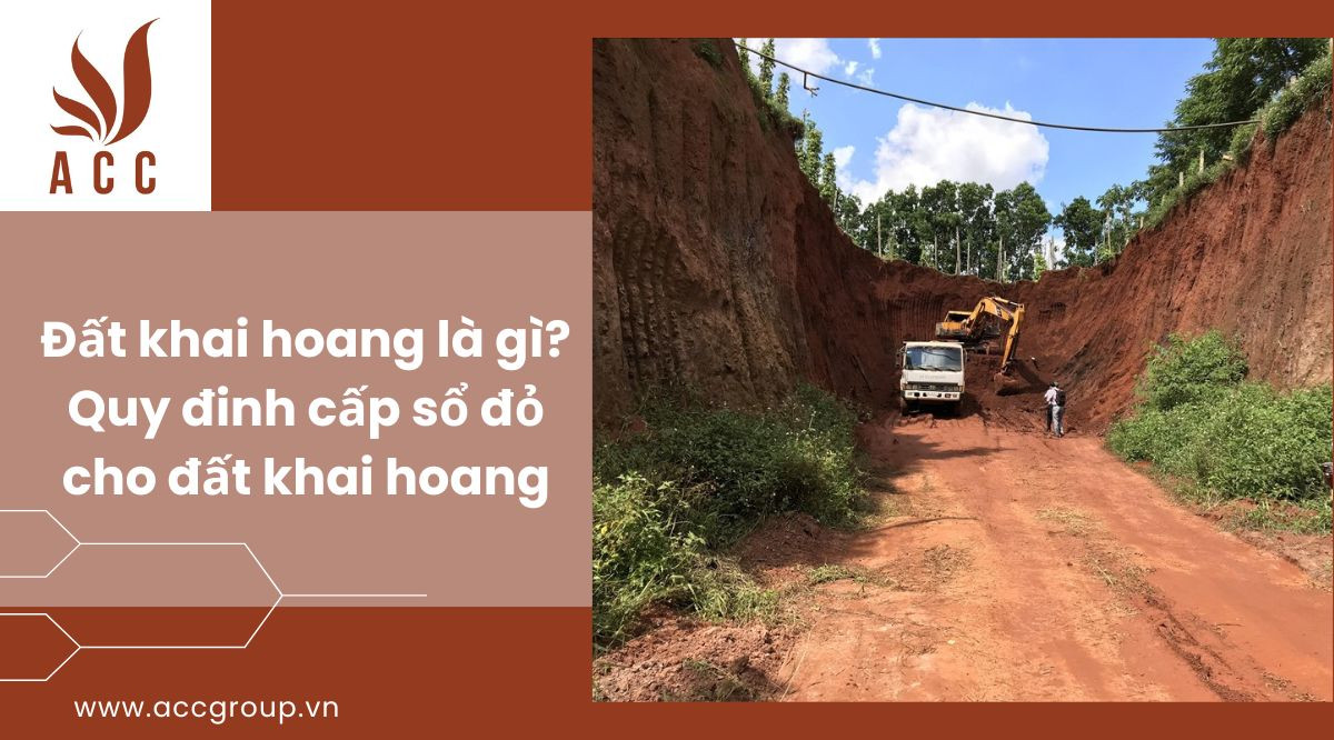 Đất khai hoang là gì? Quy đinh cấp sổ đỏ cho đất khai hoang