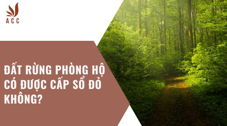 Đất rừng phòng hộ có được cấp sổ đỏ không?
