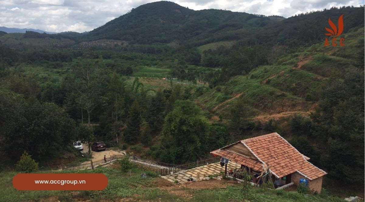Đất Sổ Xanh Có Chuyển Nhượng Được Không?