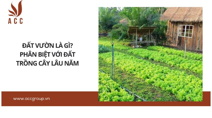 Đất vườn là gì? Phân biệt với đất trồng cây lâu năm
