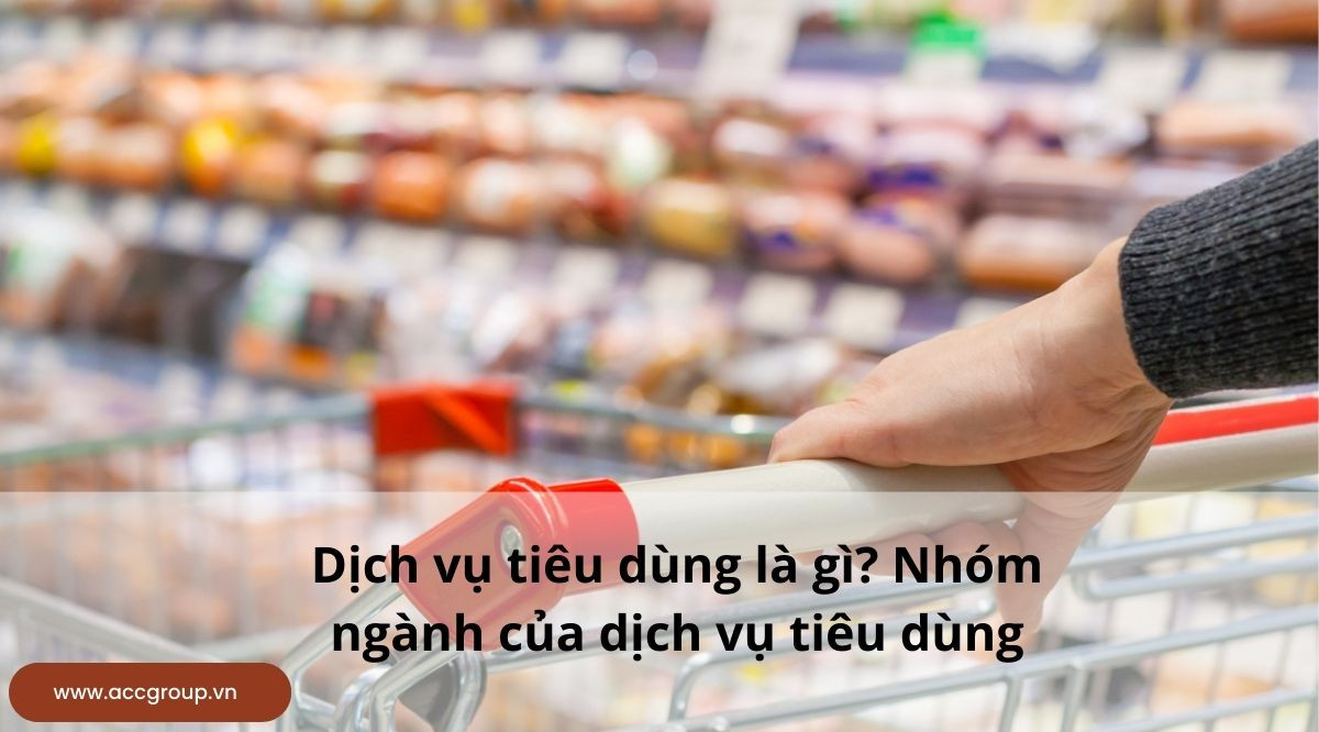 Dịch vụ tiêu dùng là gì? Nhóm ngành của dịch vụ tiêu dùng