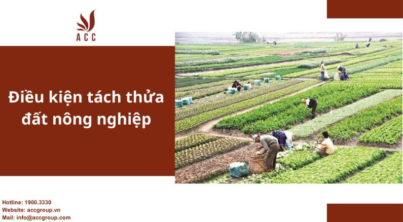 Điều kiện tách thửa đất nông nghiệp?