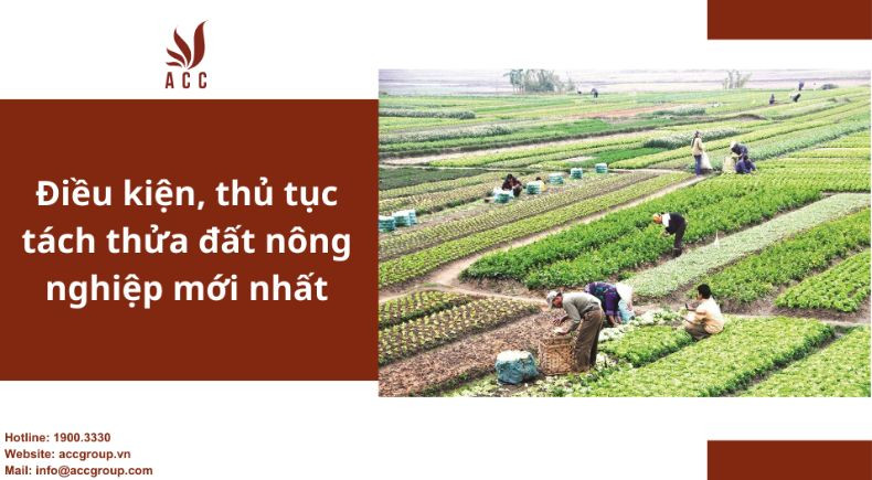 Điều kiện, thủ tục tách thửa đất nông nghiệp