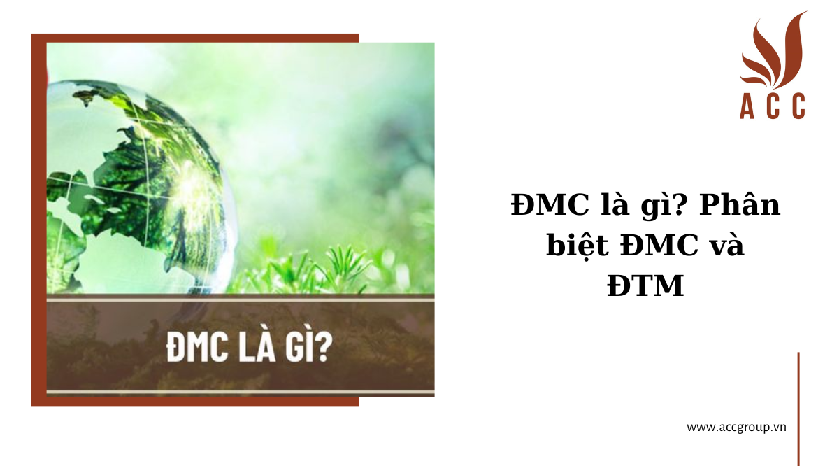 ĐMC là gì? Phân biệt ĐMC và ĐTM