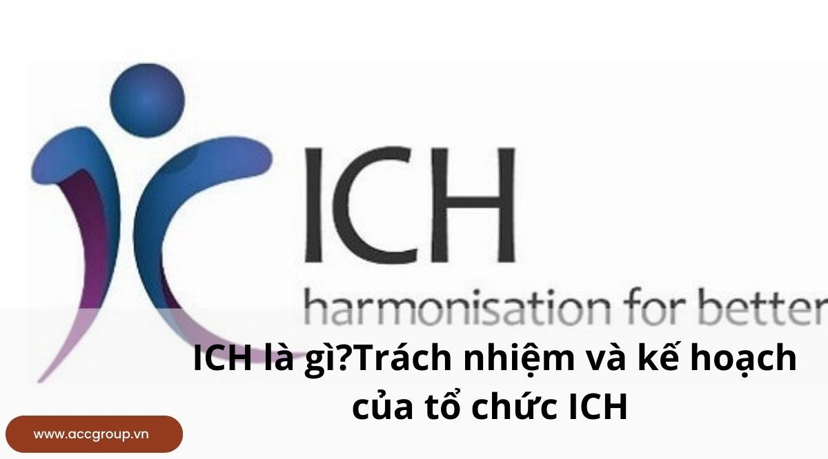 ICH là gì?Trách nhiệm và kế hoạch của tổ chức ICH
