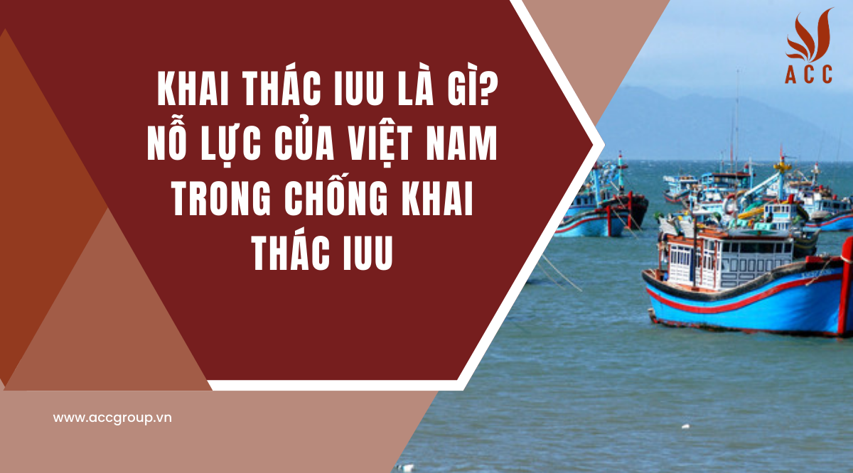 Khai thác IUU là gì?  Nỗ lực của Việt Nam trong chống khai thác IUU