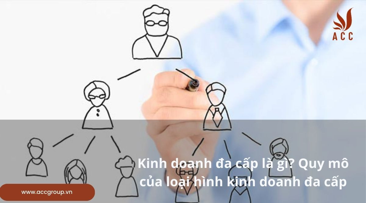 Kinh doanh đa cấp là gì? Quy mô loại hình kinh doanh đa cấp
