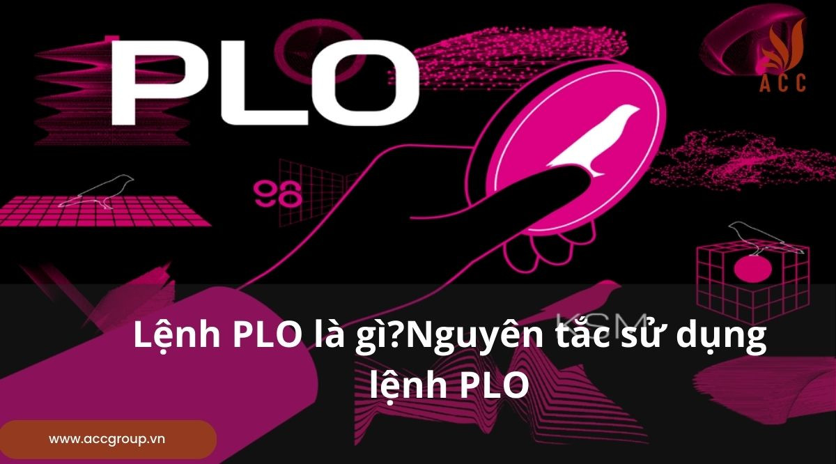 Lệnh PLO là gì?Nguyên tắc sử dụng lệnh PLO