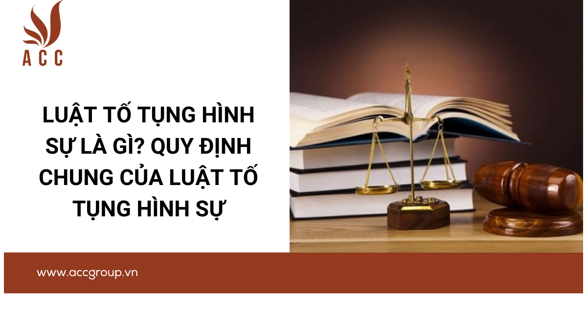 Luật tố tụng hình sự là gì? Quy định chung của luật tố tụng hình sự