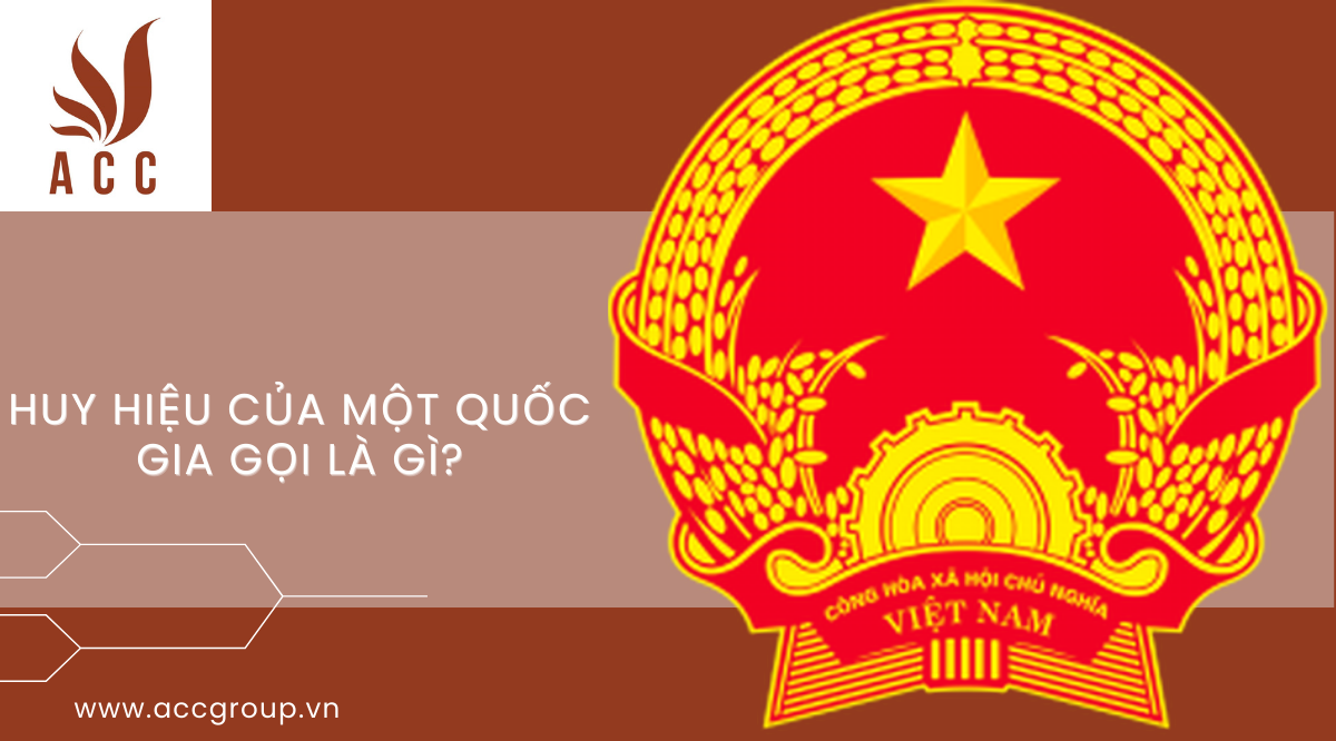 mau-dang-ky-ban-dien-mat-troi-2024-4