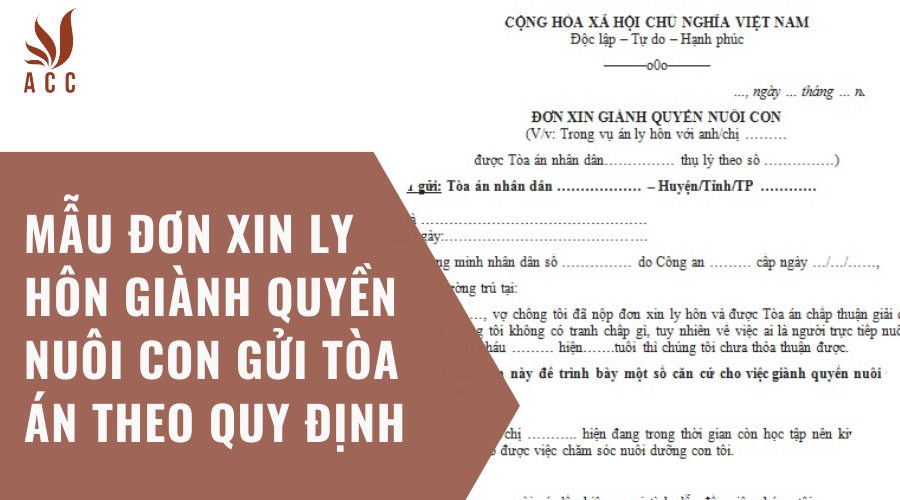 Mẫu đơn xin ly hôn giành quyền nuôi gửi Tòa án theo quy định